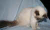 Jerry L28091.jpg (30106 byte)