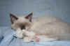 Jerry L28092.jpg (44435 byte)