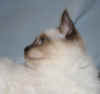Jerry L28093.jpg (23662 byte)