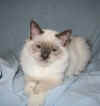 Jerry L2809.jpg (29424 byte)
