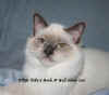 Jerry L.jpg (28692 byte)