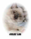Jerry Lee09284.jpg (26612 byte)