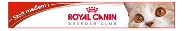 Bannerbild, Breeder Club