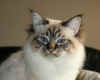 brenda09.jpg (192470 byte)