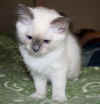 jerry 0807212.jpg (31621 byte)
