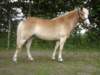 blankasommaren052_small.jpg