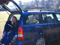 Bild 010.jpg (65829 byte)