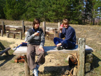 Bild 023.jpg (99528 byte)