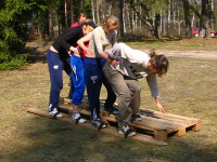 Bild 027.jpg (69150 byte)