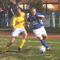 sif-hif1.jpg (255804 byte)