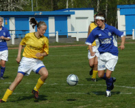 sif-hif2.jpg (68781 byte)