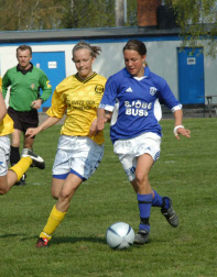 sif-hif3.jpg (87330 byte)