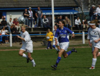 DSC_0008.JPG (237467 byte)