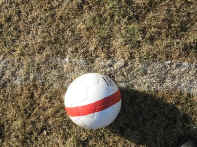 boll.jpg (104363 byte)